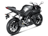 AKRAPOVIC S-Y125R4-HRT Yamaha MT-125 / YZF-R125 (2019+) Exhaust System "Racing Line" (titanium) – Accessories in the 2WheelsHero Motorcycle Aftermarket Accessories and Parts Online Shop