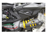 CARBONVANI Ducati Panigale (12/19) Carbon Cylinders Covers Set – Accessories in the 2WheelsHero Motorcycle Aftermarket Accessories and Parts Online Shop