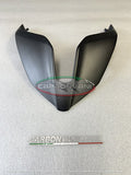 CARBONVANI DV4S25-09 Ducati Panigale V4 / Streetfighter V4 (2025+) Carbon Road Tail – Accessories in the 2WheelsHero Motorcycle Aftermarket Accessories and Parts Online Shop