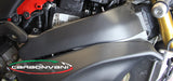 CARBONVANI Ducati Panigale V4 / V4S (20/21) Carbon Fuel Tank Frame Covers – Accessories in the 2WheelsHero Motorcycle Aftermarket Accessories and Parts Online Shop