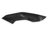 CRB139 - DBK BMW M1000R / S1000R (2021+) Carbon Side Panels (pair) – Accessories in the 2WheelsHero Motorcycle Aftermarket Accessories and Parts Online Shop