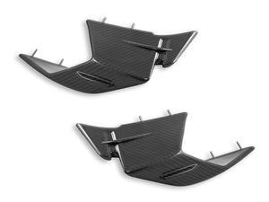 CRB142 - DBK BMW S1000RR (2023+) Carbon Winglets (pair, glossy) – Accessories in the 2WheelsHero Motorcycle Aftermarket Accessories and Parts Online Shop