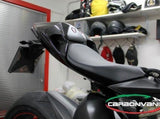 CARBONVANI Ducati Panigale 1199 / S / R (12/17) Carbon Tail (monoposto) – Accessories in the 2WheelsHero Motorcycle Aftermarket Accessories and Parts Online Shop