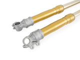 FG434SC - OHLINS Triumph Bonneville T100 / T120 /  Scrambler (07/20) Front Fork Kit (Full series; gold) – Accessories in the 2WheelsHero Motorcycle Aftermarket Accessories and Parts Online Shop