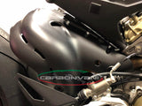 CARBONVANI Ducati Panigale V4 (18/21) Carbon Exhaust Collector Guard (Euro4) – Accessories in the 2WheelsHero Motorcycle Aftermarket Accessories and Parts Online Shop