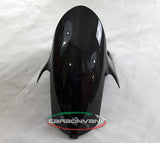 CARBONVANI Ducati Streetfighter V4 (2020+) Carbon Front Fender – Accessories in the 2WheelsHero Motorcycle Aftermarket Accessories and Parts Online Shop