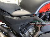 CARBONVANI Ducati Panigale V4R (19/21) Carbon Underseat Covers (rear subframe) – Accessories in the 2WheelsHero Motorcycle Aftermarket Accessories and Parts Online Shop