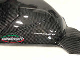 CARBONVANI Ducati Panigale V4 (2018+) Carbon Swingarm Guard (CV version) – Accessories in the 2WheelsHero Motorcycle Aftermarket Accessories and Parts Online Shop