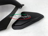 CARBONVANI Ducati Panigale V4 (2018+) Carbon Swingarm Guard (DPS version) – Accessories in the 2WheelsHero Motorcycle Aftermarket Accessories and Parts Online Shop