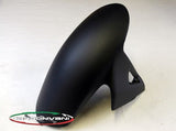 CARBONVANI Ducati Streetfighter V4 (2020+) Carbon Front Fender – Accessories in the 2WheelsHero Motorcycle Aftermarket Accessories and Parts Online Shop