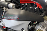 CARBONVANI Ducati Panigale V4 (18/21) Carbon Fuel Tank Frame Covers – Accessories in the 2WheelsHero Motorcycle Aftermarket Accessories and Parts Online Shop