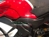 CARBONVANI Ducati Panigale V4R (19/21) Carbon Underseat Cover (left side) – Accessories in the 2WheelsHero Motorcycle Aftermarket Accessories and Parts Online Shop