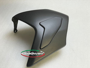 CARBONVANI Ducati Streetfighter V4 / V4S (2023+) Carbon Swingarm Guard (DPS version) – Accessories in the 2WheelsHero Motorcycle Aftermarket Accessories and Parts Online Shop