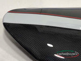 CARBONVANI Ducati XDiavel / S (2016+) Carbon Twin Tail Line (White stripe A version) – Accessories in the 2WheelsHero Motorcycle Aftermarket Accessories and Parts Online Shop