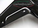 CARBONVANI MV Agusta Brutale 920 (2012) Carbon Cooler Cover (left side) – Accessories in the 2WheelsHero Motorcycle Aftermarket Accessories and Parts Online Shop