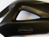 CARBONVANI MV Agusta F3 800 (2021+) Carbon Swingarm Guard – Accessories in the 2WheelsHero Motorcycle Aftermarket Accessories and Parts Online Shop