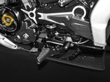 DBK DUCABIKE RPLF13 Ducati XDiavel (16/24) Brake Lever – Accessories in the 2WheelsHero Motorcycle Aftermarket Accessories and Parts Online Shop