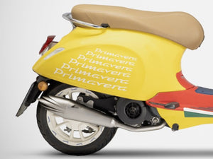 ZARD Piaggio Vespa Primavera 125/150 (2020+) Full Exhaust System "DolceVita" (racing) – Accessories in the 2WheelsHero Motorcycle Aftermarket Accessories and Parts Online Shop