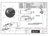 HP CORSE Ducati Monster 1100/796/696 Dual Slip-on Exhaust "Hydroform Satin" (EU homologated) – Accessories in the 2WheelsHero Motorcycle Aftermarket Accessories and Parts Online Shop