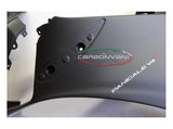 CARBONVANI Ducati Panigale V4R Carbon Side Fairing Panel + Winglet (left) – Accessories in the 2WheelsHero Motorcycle Aftermarket Accessories and Parts Online Shop