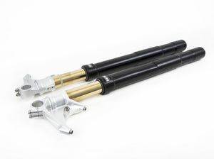 FGRT227 - OHLINS BMW R nineT 1170 (2017 – ) Front Fork – Accessories in the 2WheelsHero Motorcycle Aftermarket Accessories and Parts Online Shop