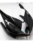 CARBONVANI MV Agusta F4 1000 (10/19) Carbon Headlight Fairing (road) – Accessories in the 2WheelsHero Motorcycle Aftermarket Accessories and Parts Online Shop