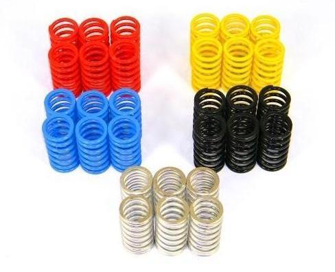 6M01 - DUCABIKE Ducati Dry Clutch Springs – Accessories in the 2WheelsHero Motorcycle Aftermarket Accessories and Parts Online Shop