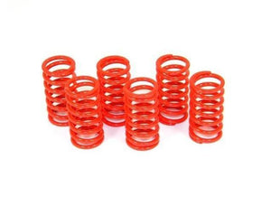 6M01 - DUCABIKE Ducati Dry Clutch Springs – Accessories in the 2WheelsHero Motorcycle Aftermarket Accessories and Parts Online Shop