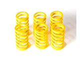 6M01 - DUCABIKE Ducati Dry Clutch Springs – Accessories in the 2WheelsHero Motorcycle Aftermarket Accessories and Parts Online Shop