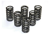 6M01 - DUCABIKE Ducati Dry Clutch Springs – Accessories in the 2WheelsHero Motorcycle Aftermarket Accessories and Parts Online Shop