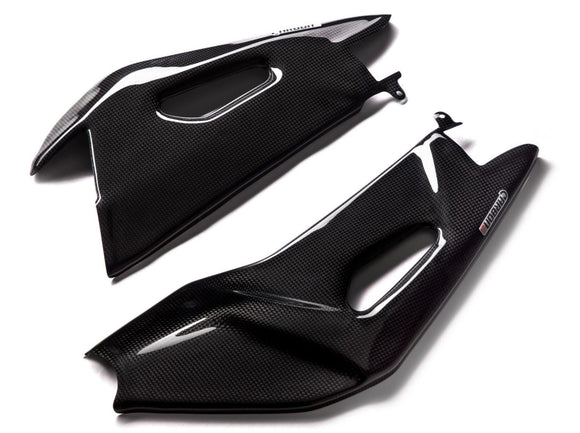 CARBON2RACE Aprilia Tuono V4 (15/20) Carbon Swingarm Covers – Accessories in the 2WheelsHero Motorcycle Aftermarket Accessories and Parts Online Shop