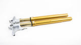 FGRT210 - OHLINS Ducati Superbike 1098/1198/848 Upside Down Front Fork (Gold) – Accessories in the 2WheelsHero Motorcycle Aftermarket Accessories and Parts Online Shop