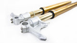 FGRT210 - OHLINS Ducati Superbike 1098/1198/848 Upside Down Front Fork (Gold) – Accessories in the 2WheelsHero Motorcycle Aftermarket Accessories and Parts Online Shop