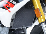 RAD0218 - R&G RACING BMW G310R / G310GS (2016+) Radiator Guard – Accessories in the 2WheelsHero Motorcycle Aftermarket Accessories and Parts Online Shop