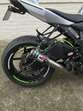 CARBON2RACE Kawasaki ZX-6R (09/18) Carbon Swingarm Covers – Accessories in the 2WheelsHero Motorcycle Aftermarket Accessories and Parts Online Shop