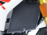 RAD0218 - R&G RACING BMW G310R / G310GS (2016+) Radiator Guard – Accessories in the 2WheelsHero Motorcycle Aftermarket Accessories and Parts Online Shop