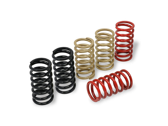 MO140 - CNC RACING Ducati Clutch Springs (Ø 40) – Accessories in the 2WheelsHero Motorcycle Aftermarket Accessories and Parts Online Shop