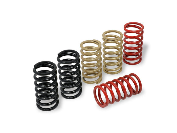 MO245 - CNC RACING MV Agusta Clutch Springs (Ø 40.5) – Accessories in the 2WheelsHero Motorcycle Aftermarket Accessories and Parts Online Shop