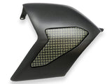 ZA865 - CNC RACING Ducati Panigale V4 Carbon & Kevlar Swingarm Cover – Accessories in the 2WheelsHero Motorcycle Aftermarket Accessories and Parts Online Shop