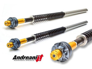 CFD105/D07 - ANDREANI Ducati GT 1000 Adjustable Cartridge kit – Accessories in the 2WheelsHero Motorcycle Aftermarket Accessories and Parts Online Shop