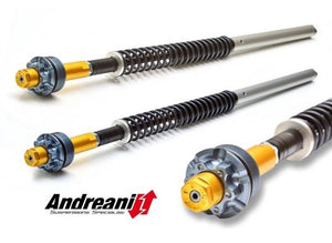 CFD105/D29 - ANDREANI Ducati Multistrada 950 Adjustable Cartridge kit – Accessories in the 2WheelsHero Motorcycle Aftermarket Accessories and Parts Online Shop