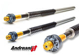 CFD105/D03 - ANDREANI Ducati Monster 696 Adjustable Cartridge kit (Showa) – Accessories in the 2WheelsHero Motorcycle Aftermarket Accessories and Parts Online Shop