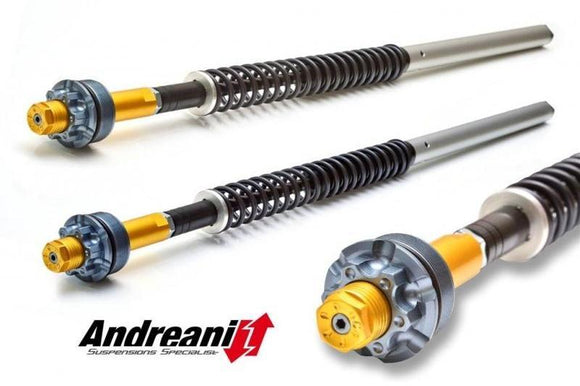 CFD105/D16 - ANDREANI Ducati Scrambler 800 (15/19) Adjustable Cartridge kit – Accessories in the 2WheelsHero Motorcycle Aftermarket Accessories and Parts Online Shop