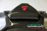 CARBONVANI Ducati Panigale 1299 Carbon Tail (5 pcs kit) – Accessories in the 2WheelsHero Motorcycle Aftermarket Accessories and Parts Online Shop