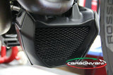 CARBONVANI Ducati Monster 821 (14/17) Carbon Oil Cooler Tips (types A + B) – Accessories in the 2WheelsHero Motorcycle Aftermarket Accessories and Parts Online Shop