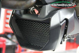 CARBONVANI Ducati Monster 821 (14/17) Carbon Oil Cooler Tips (types A + B) – Accessories in the 2WheelsHero Motorcycle Aftermarket Accessories and Parts Online Shop