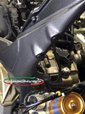 CARBONVANI Ducati Panigale V4 (2018+) Complete Carbon Rear Frame Covers – Accessories in the 2WheelsHero Motorcycle Aftermarket Accessories and Parts Online Shop