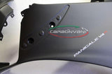 CARBONVANI Ducati Panigale V4R Carbon Side Fairing Panel + Winglet (left) – Accessories in the 2WheelsHero Motorcycle Aftermarket Accessories and Parts Online Shop