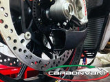 CARBONVANI Ducati Panigale V4 / V4R Carbon Front Brake Cooler System – Accessories in the 2WheelsHero Motorcycle Aftermarket Accessories and Parts Online Shop