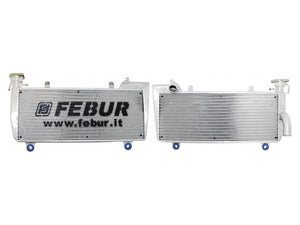 FEBUR Ducati Panigale 899/1199/1299 (12/18) Complete Street Racing Increased Water Radiator – Accessories in the 2WheelsHero Motorcycle Aftermarket Accessories and Parts Online Shop